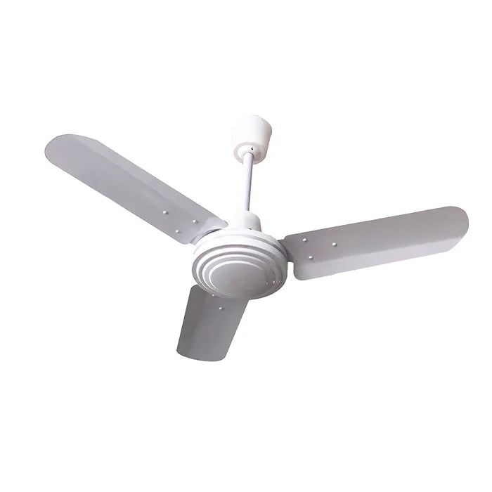 Ceiling Fan With Regulator