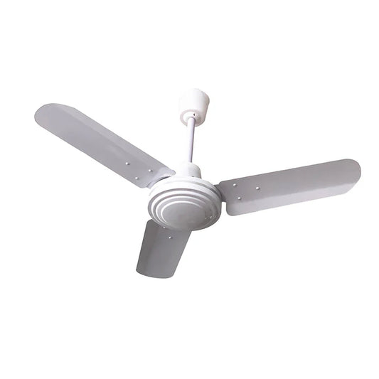 Ceiling Fan With Regulator
